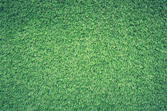 Vad är Green Death?  – Definition från Kunskaper.se