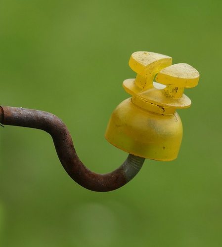 Vad är en isolerande barriär?  – Definition från Kunskaper.se