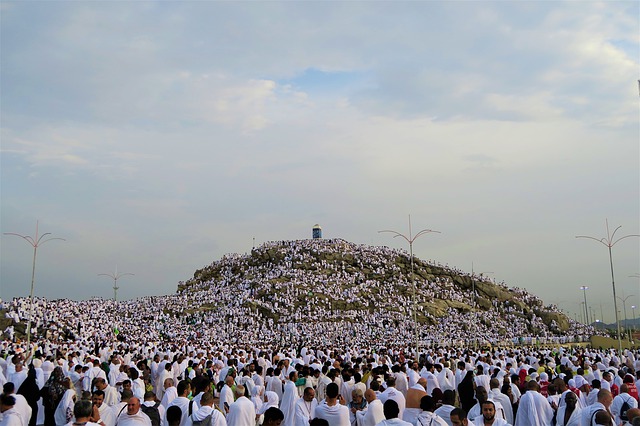 En guide till den intellektuella rörelsen känd som renässanshumanism