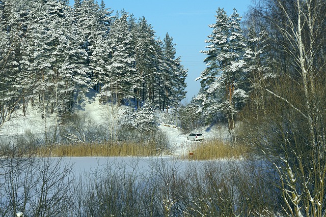 Last Glacial Maximum – Senaste stora globala klimatförändringen