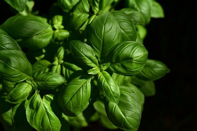 Vad är ett aromatiskt lösningsmedel?  – Definition från Kunskaper.se