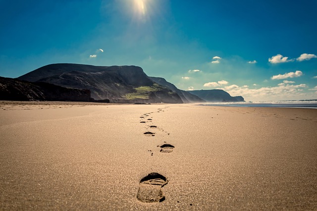 Vad är strandmärken?  – Definition från Kunskaper.se