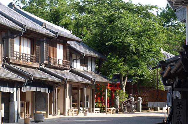 Samurajkvinnorna i japansk historia