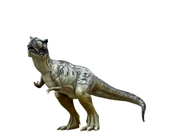 Evolutionen av ekolod