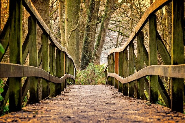 Vad är Bridging (i samband med beläggningar)?  – Definition från Kunskaper.se