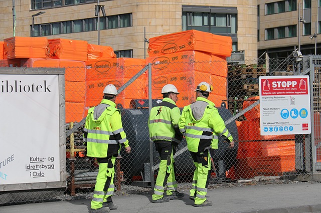 Fakta om Okapi, skogsgiraffen