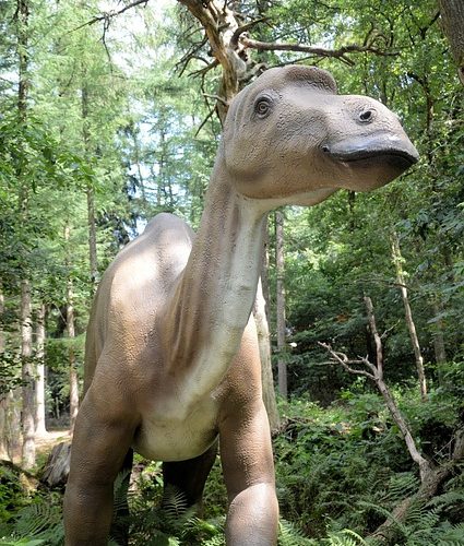 Historia och djurliv i Appalachian Mountain Habitat