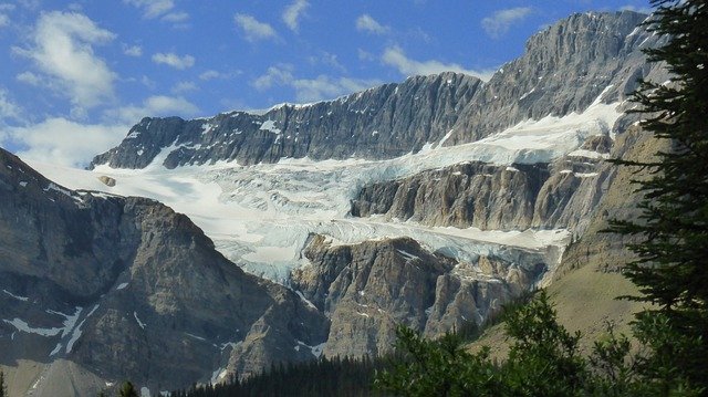 Tundra Biome: The Coldest Biome