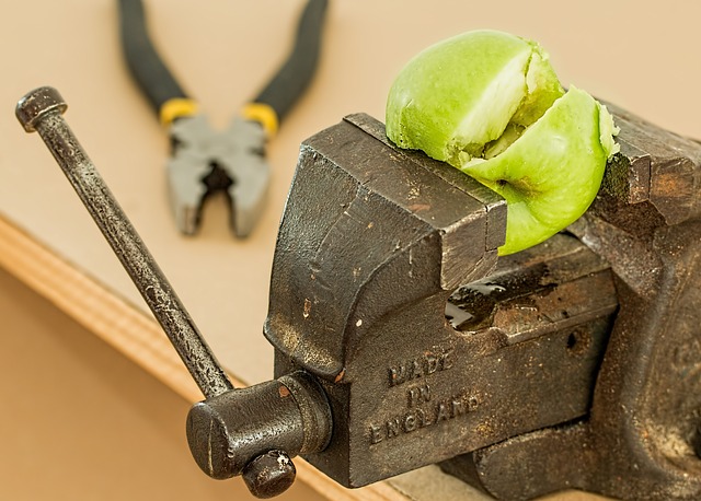 Vad är en kompressiv stam?  – Definition från Kunskaper.se