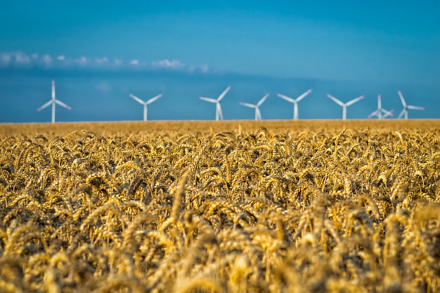 10 typer av energi och exempel