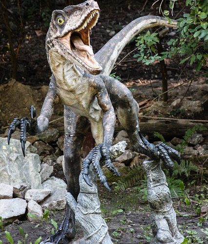 Hur Velociraptor upptäcktes