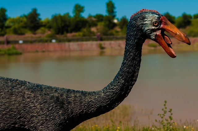 Hur upptäcktes Brachiosaurus?