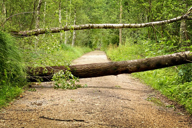 Vad är en kopp- och konfraktur?  – Definition från Kunskaper.se