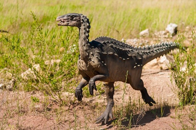 Allosaurus vs. Stegosaurus – Vem vinner?