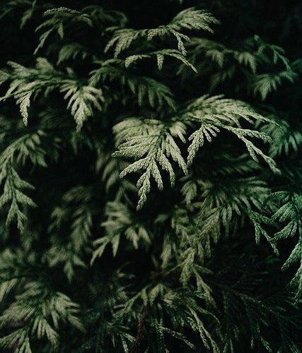 Vad är Fading?  – Definition från Kunskaper.se
