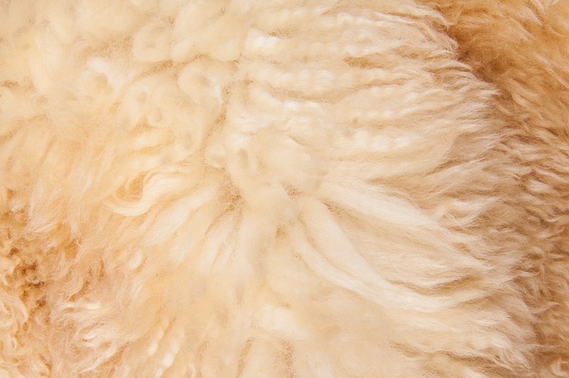 Vad är en Finish Coat?  – Definition från Kunskaper.se