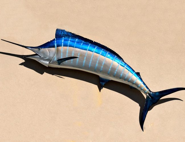 Förvirrande Blue Marlin-fakta