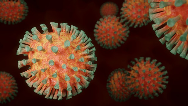 Virus som orsakar sjukdomar i växter