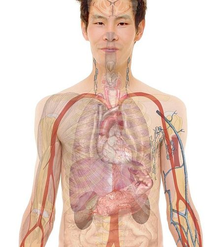 Biologiska prefix och suffix: Aer- eller Aero-