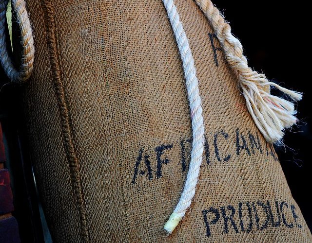 12 viktiga afroamerikanska forskare