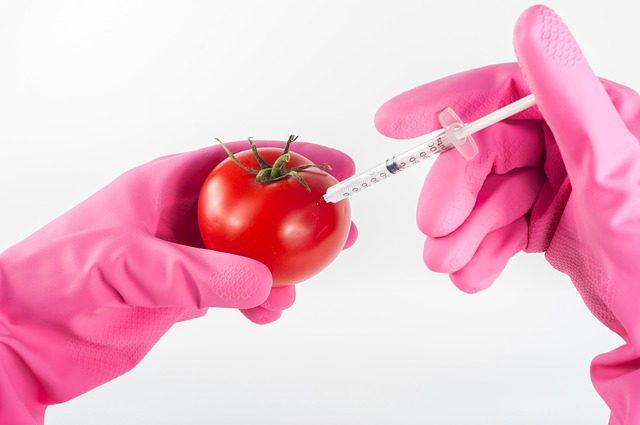 Genetisk polymorfism och hur den varar över generationer