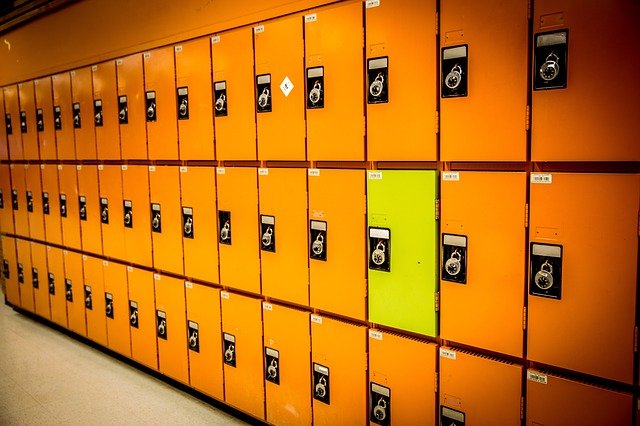 7 nyckelskillnader mellan mitos och meios