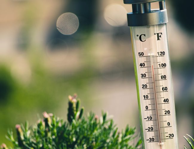 Verktyg som används för att mäta temperatur